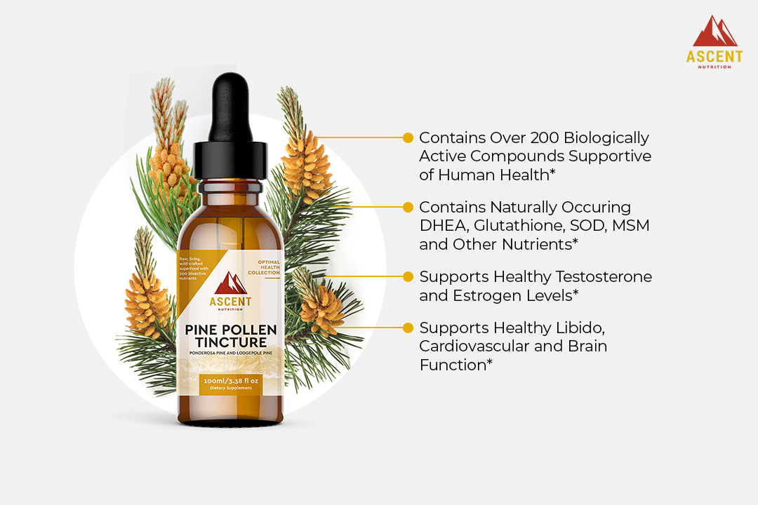 Wild-Harvested Pine Pollen Tincture, 335 mg