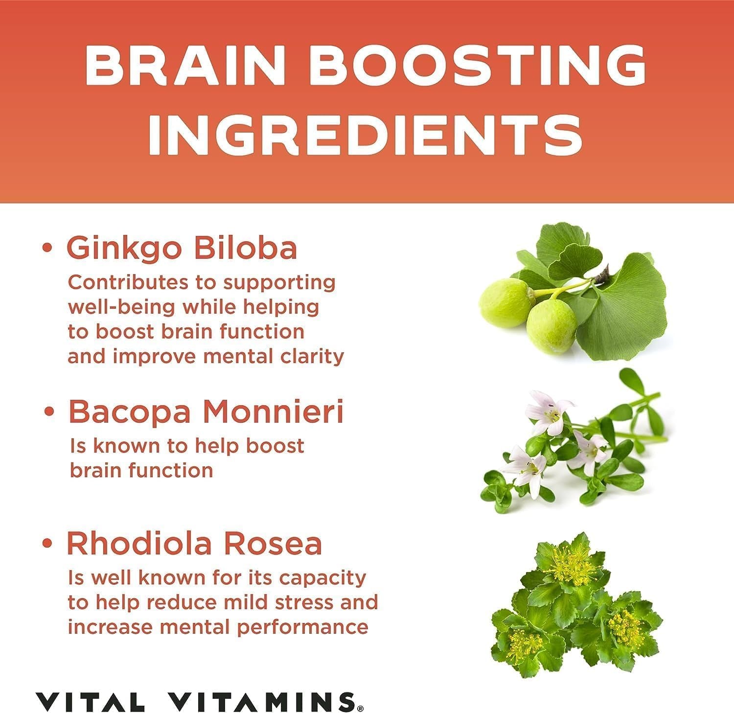 Vital Vitamins Brain Supplements for Memory and Focus (3 Pack) – Nootropic Brain Booster with Ginkgo Biloba, Rhodiola, B12 – Caffeine-Free Support for Adults & Seniors – 90-Day Supply