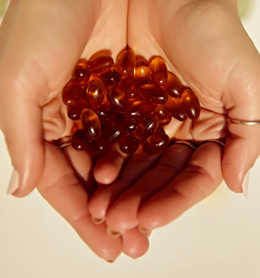 Black Seed Oil Vegan Softgels (90)