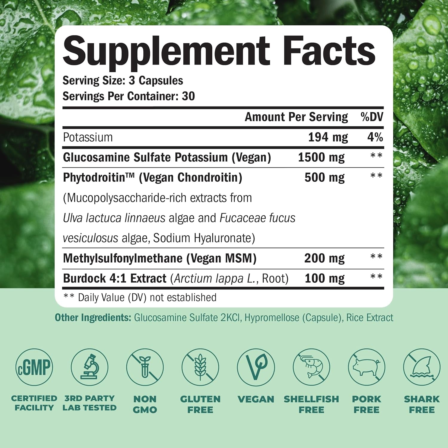 Vegan Glucosamine Chondroitin MSM - 100% Vegan Joint Support Supplement for Women & Men with Burdock and Glucosamine Sulfate 1500 Mg. Used for Cartilage and Joint Health and Flexibility - 2 Pack