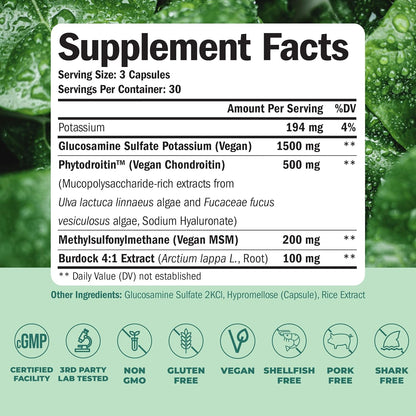 Vegan Glucosamine Chondroitin MSM - 100% Vegan Joint Support Supplement for Women & Men with Burdock and Glucosamine Sulfate 1500 Mg. Used for Cartilage and Joint Health and Flexibility - 2 Pack