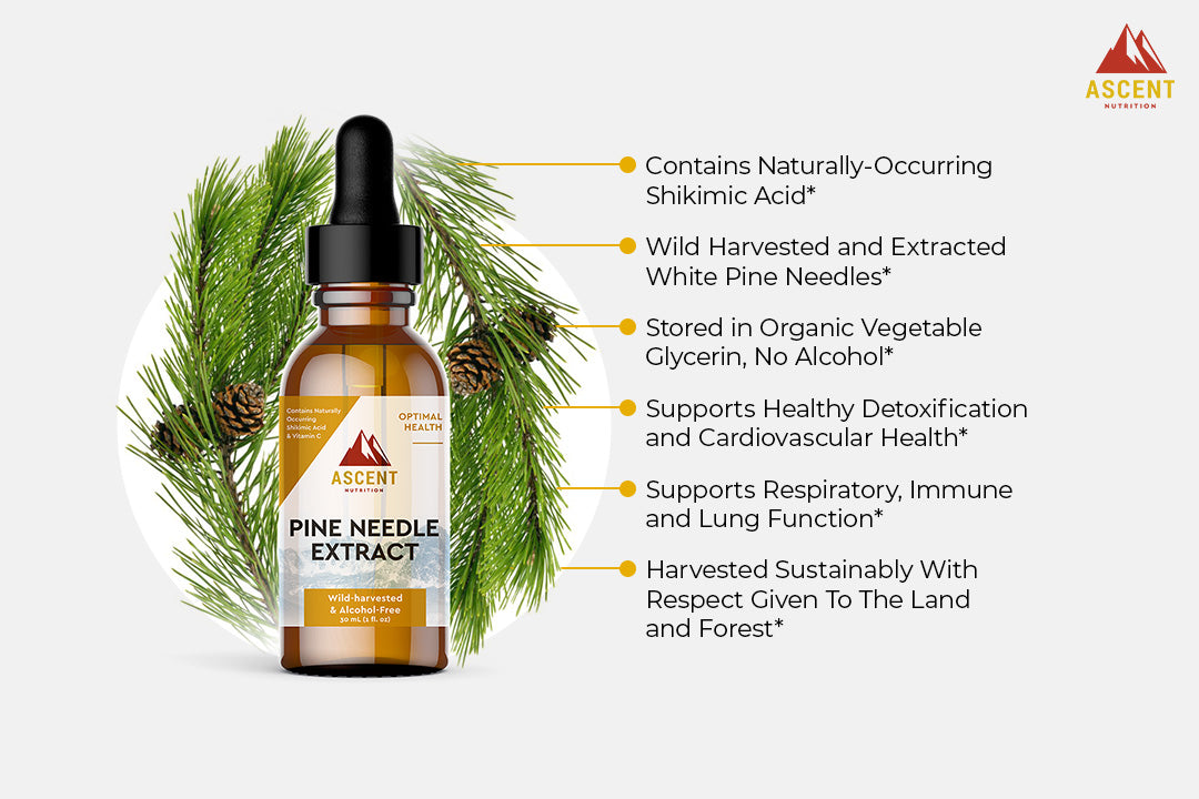 Pine Needle Extract, Pine Needle Tea Alternative, 267 mg