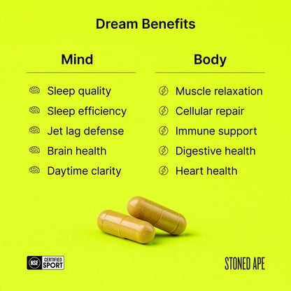 Dream: P.M. Nootropic & Sleep Aid for Recovery