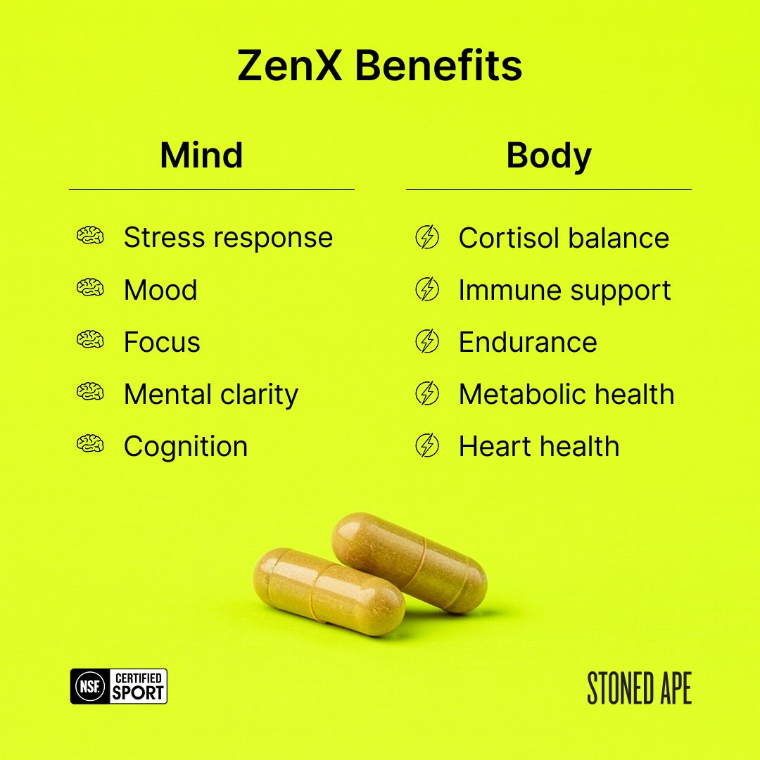 ZenX: Mood Support Nootropic