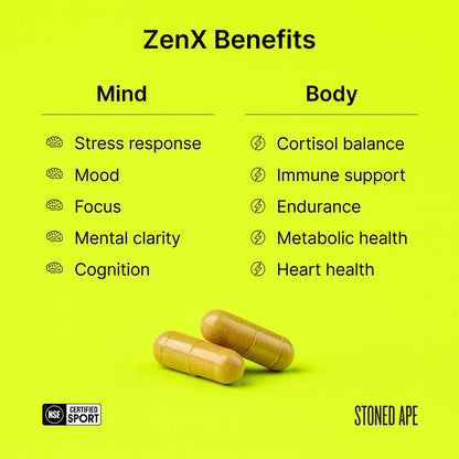 ZenX: Mood Support Nootropic