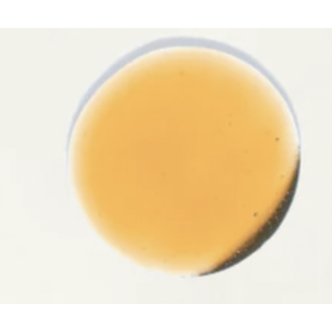 NILCEUTICA Bestsellers Discovery and Travel kit