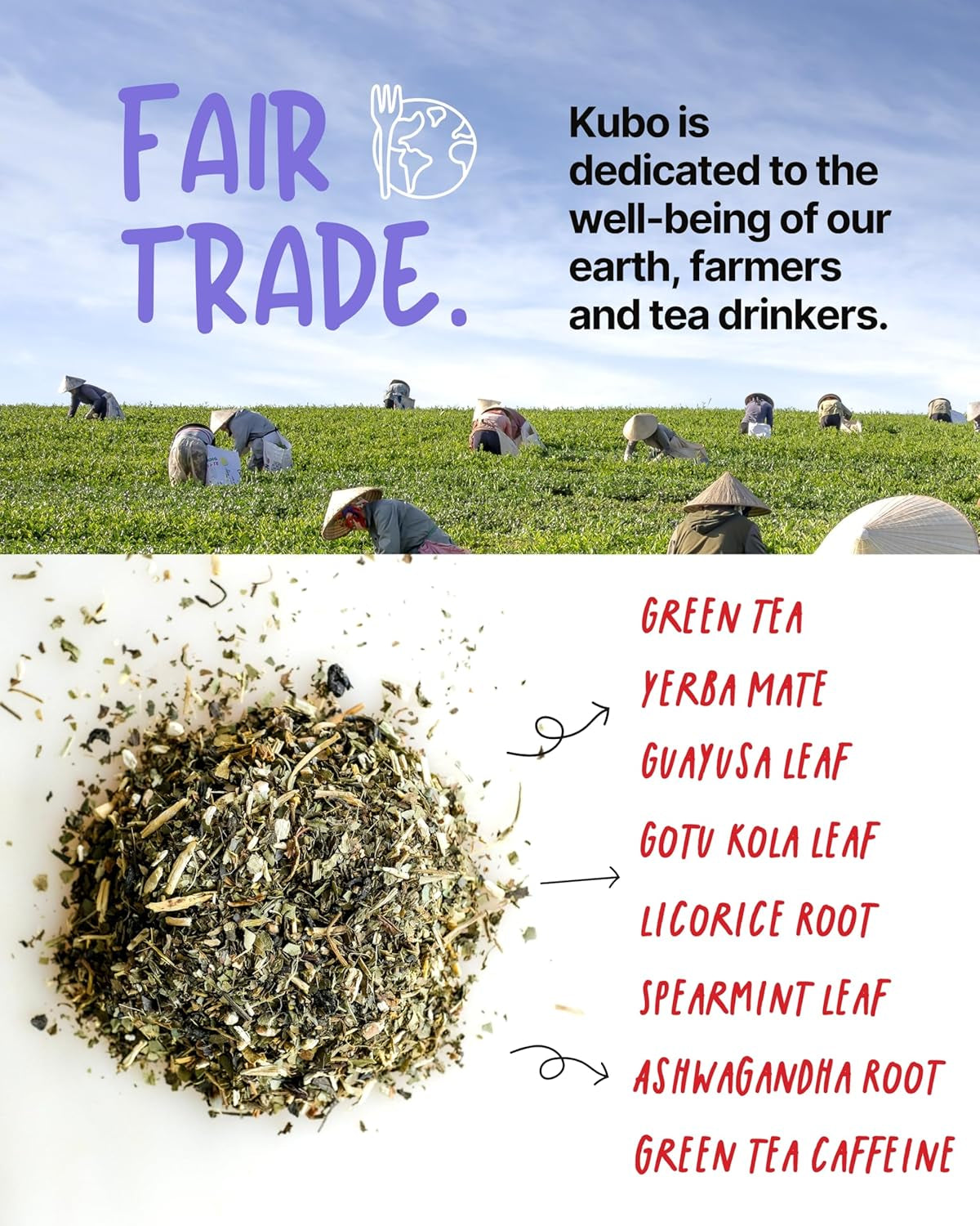 Kubo Tea Energize Yerba Mate Green Tea - Organic High Caffeine Energy Blend - 20 Pyramid Tea Bags (140Mg Caffeine Each) - Healthy Sugar Free Coffee Substitute for Hot and Iced Drinks - Biodegradable
