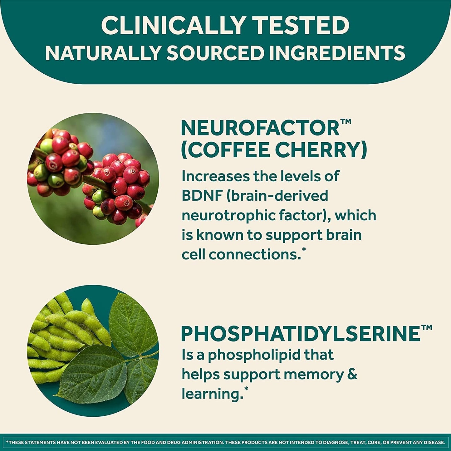 NEURIVA Original Brain Supplement for Memory, Focus & Concentration + Learning & Accuracy with Clinically Tested Nootropics Phosphatidylserine and Neurofactor, Caffeine Free, 30Ct Capsules - Free & Fast Delivery