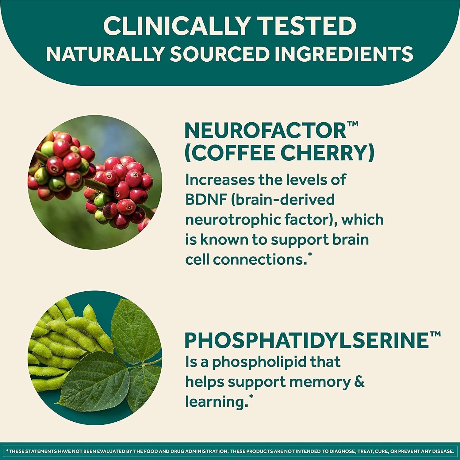 NEURIVA Original Brain Supplement for Memory, Focus & Concentration + Learning & Accuracy with Clinically Tested Nootropics Phosphatidylserine and Neurofactor, Caffeine Free, 30Ct Capsules - Free & Fast Delivery