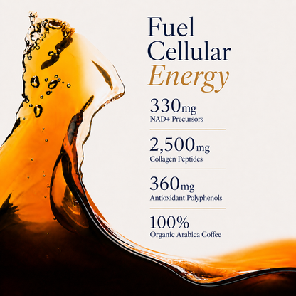 Vivi Longevity Coffee+ | Organic Instant Coffee with NAD+ Precursors, Collagen &amp; Antioxidants