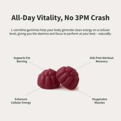 L-Carnitine Sugar-Free Blueberry Gummies