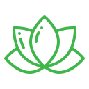 Guided Meditation