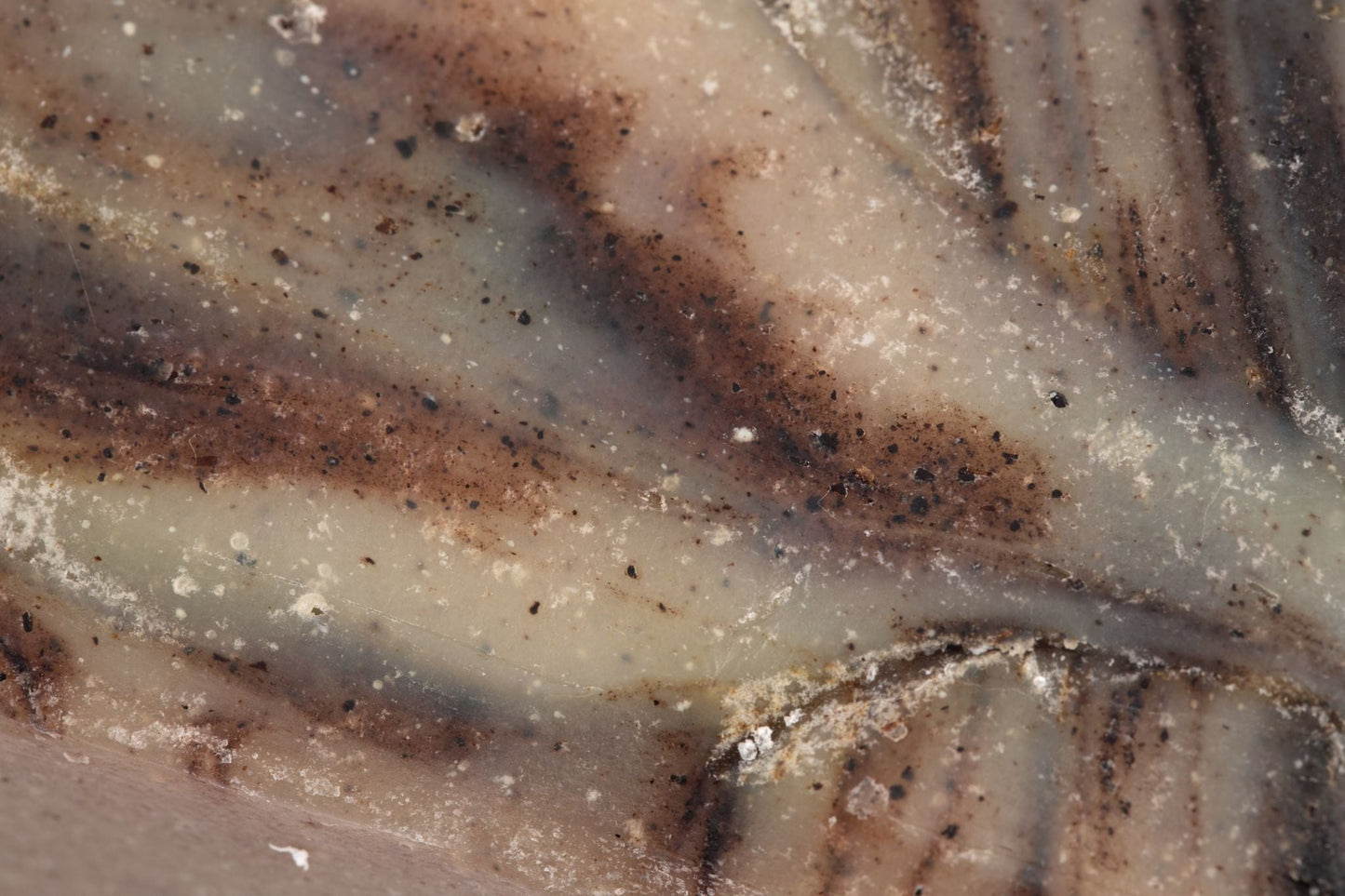 Wild-Harvested Spruce Soap, 6 oz Bar